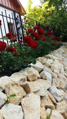 Hostal Madar�sz Vend�gh�z