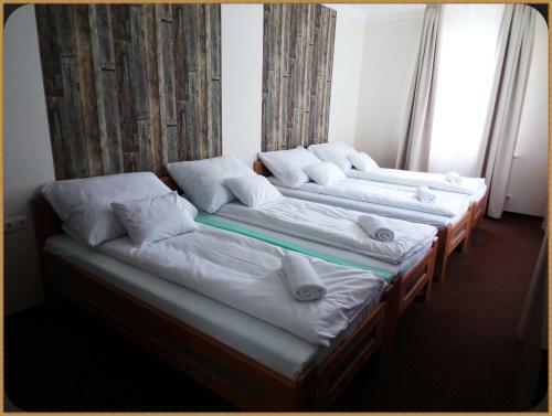 Hostal Bar�tok Panzi�