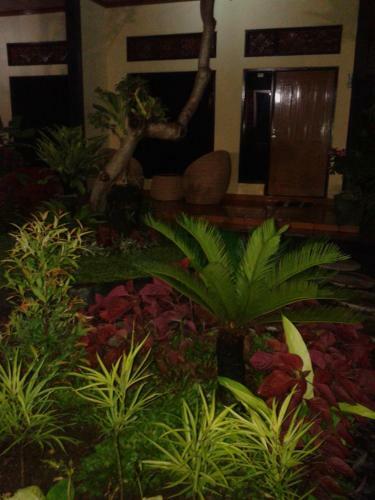 Hostal The Arya Guest House