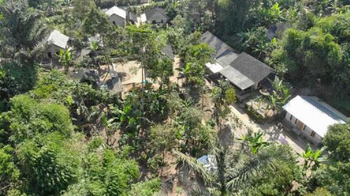 Tereng Wilis Jungle Inn