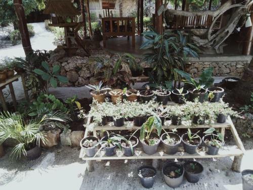Kampung Kakak
