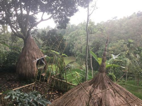 Dream Catcher Camp