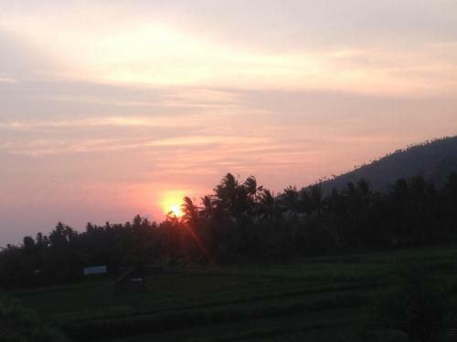 D'sawah Amed Homestay & Warung