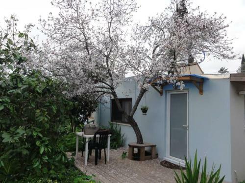 Apartamento Bed & Blintzes