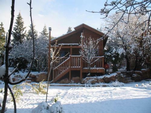 Lodge Mazal Shell Zimmer