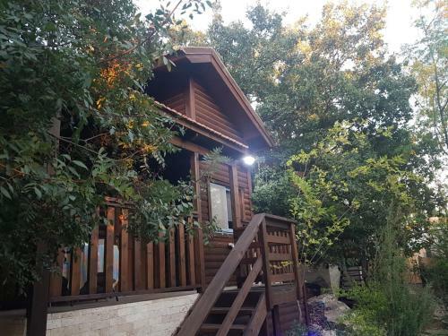 Lodge Mazal Shell Zimmer