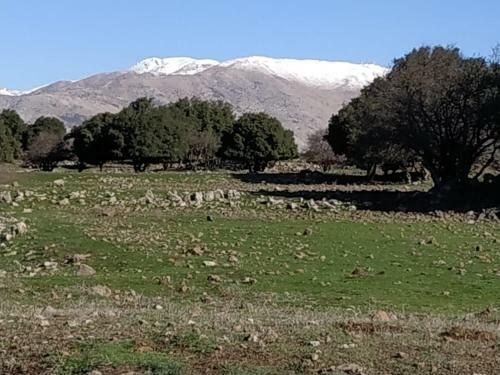 Hostal Belev Odem