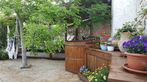 Bed & Breakfast Tamar And Gefen