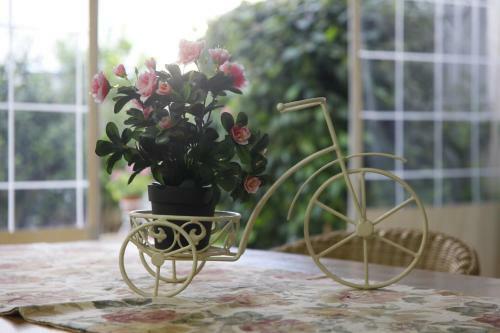 Hostal Grushka Country Accommodation