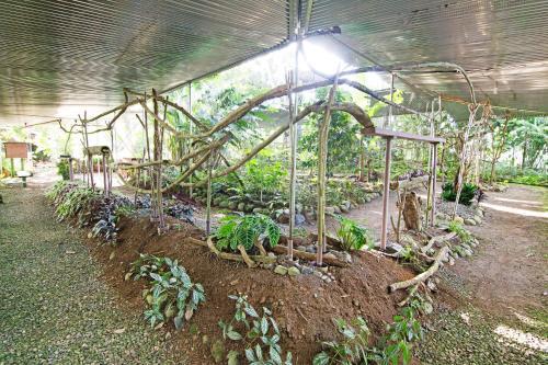 Islas Del R�o Hostel