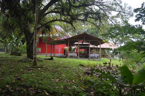 Islas Del R�o Hostel