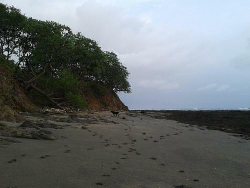 Hostal Oceanfront Gem At La Joya De Lagarto