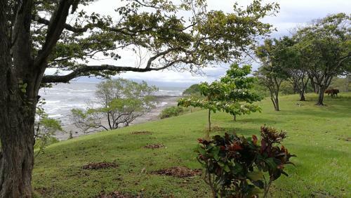 Hostal Oceanfront Gem At La Joya De Lagarto