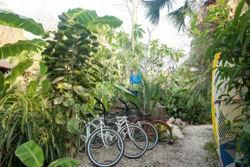 Apartamento Casas Mal Pais