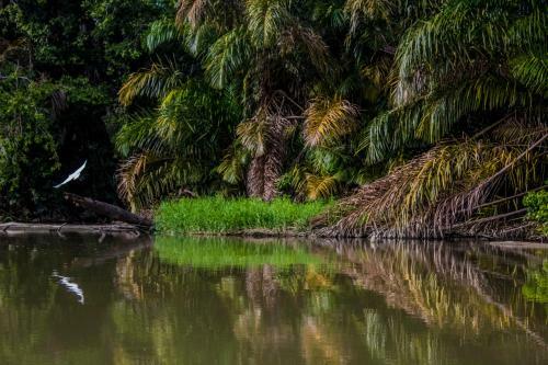 Lodge Casa Grande At Pacuare Reserve
