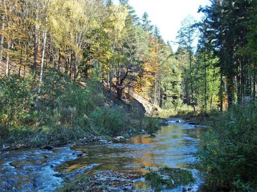 Apartamento Gaestehaus Baerenstein Erz 090