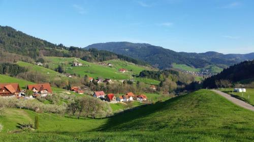 Apartamento Ferienwohnung Hohfelsenblick