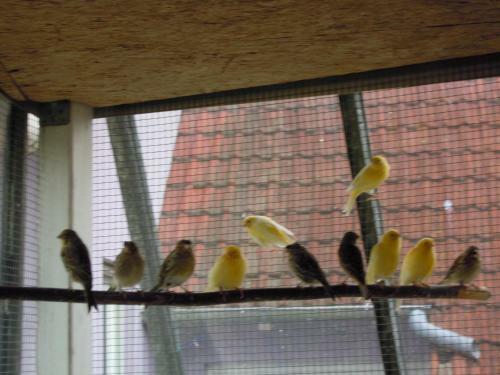 Apartamento Ferienwohnung Wilpert