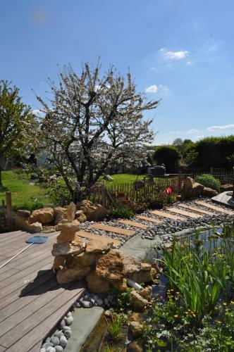 Hostal Maison D'h�tes Les Rainettes