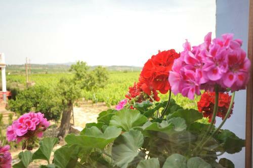 Bed & Breakfast Els Canterers