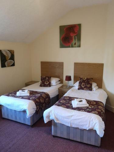 Ferns Hotel/palms Leisure