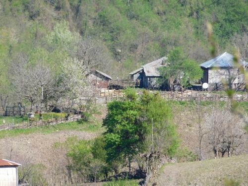 Albergue Kinchkha Wood House