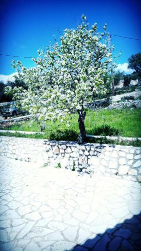 Entheos Prime View Villa