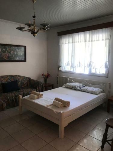 Orange Villa