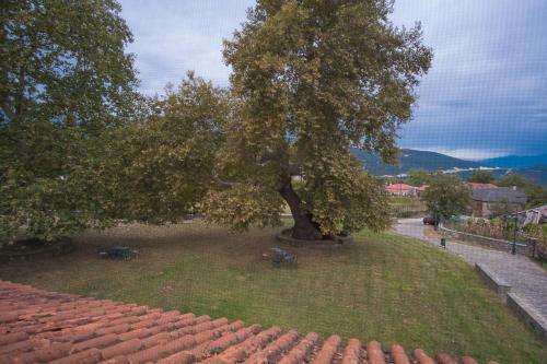 Hostal Stalisma