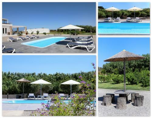 B&B Maliva