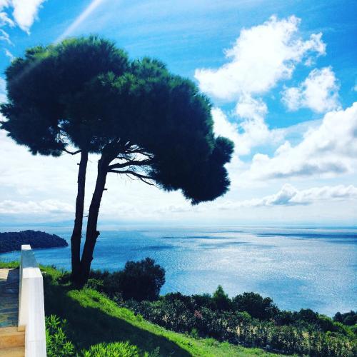 Skiathea Villas