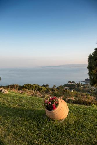 Skiathea Villas