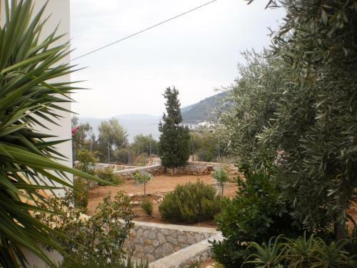 Villa Catherine
