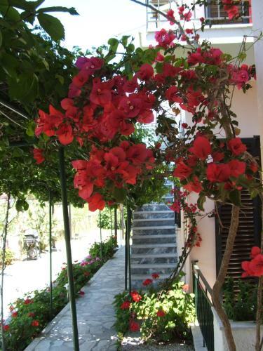 Hotel Maritsa Studios