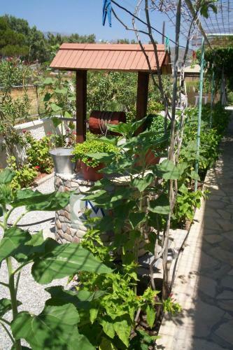 Hotel Maritsa Studios