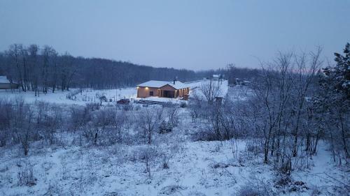 Hostal Vekeri Forest Vend�gh�z