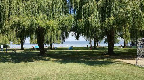 Bed & Breakfast Balaton Panzi�