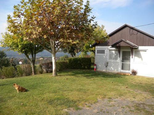 Apartments In Cserszegtomaj/balaton 18295