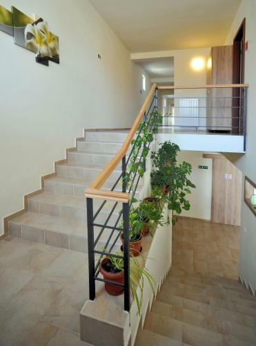 Hostal Cserkeszem Panzi�