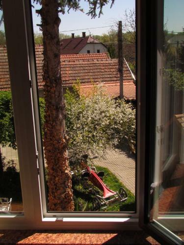 Bed & Breakfast Torkolat Panzi�