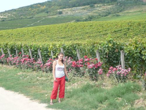 Bed & Breakfast Torkolat Panzi�