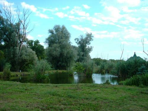 Hostal �cs�rdi T�panzi�