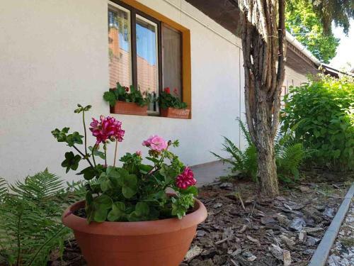 Hostal K�ti Vend�gh�z