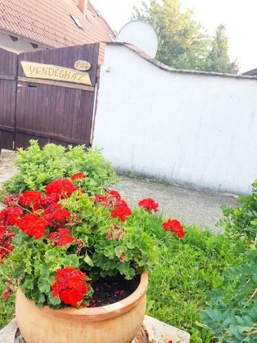 Hostal K�ti Vend�gh�z