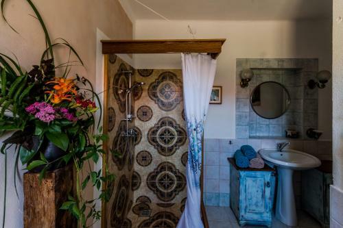 Hostal Vid�ki H�z-?rs�g