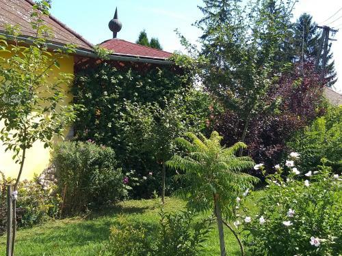 Gy�ngyvir�g Apartment