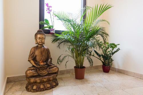 Albergue Zen House