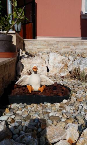 Hostal Csillag Panzi�