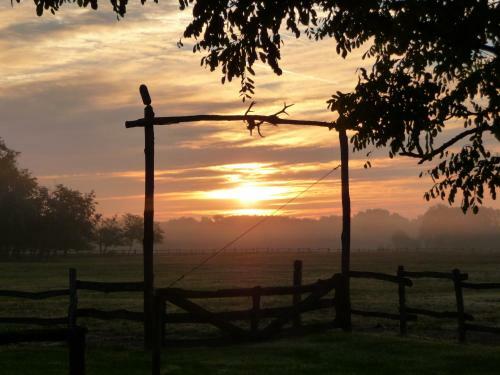 Walter Ranch