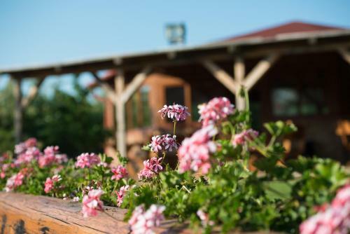 Hostal Farkasverem Vend�gh�z